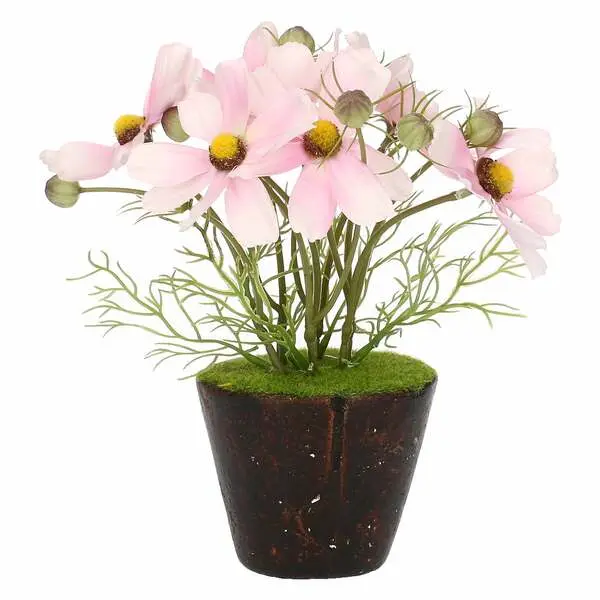 ILMAZZOLINO COSMOS PINK W CLOD