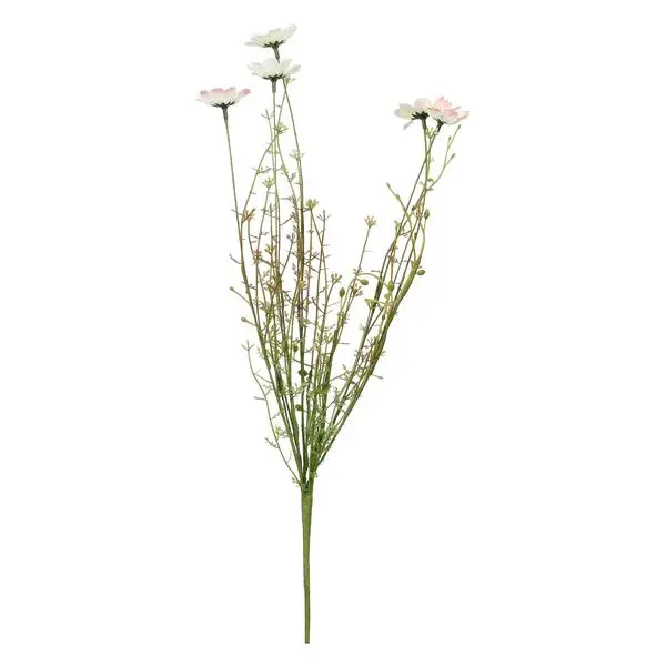 QUELMAZZOLINDIFIORI PINK AND WHITE DAISI