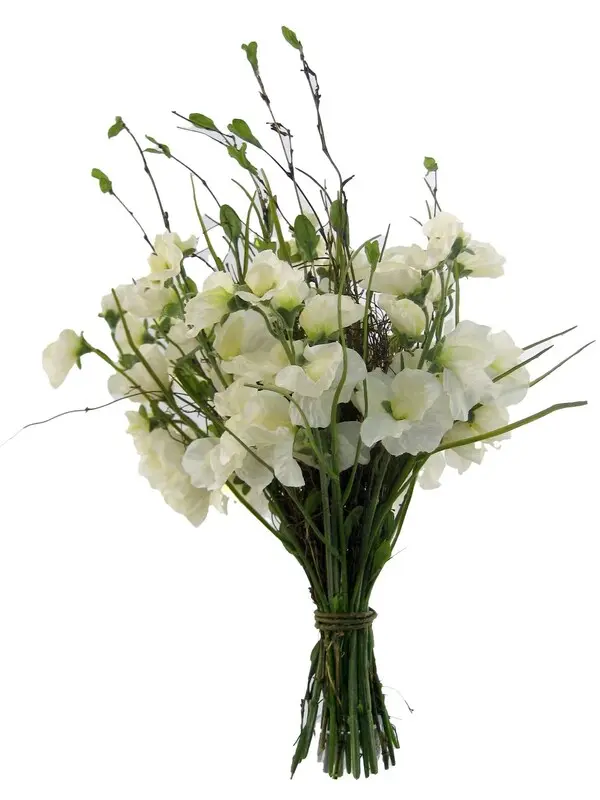 SWEETPAY  BUNDLE WHITE H30cm 12/36