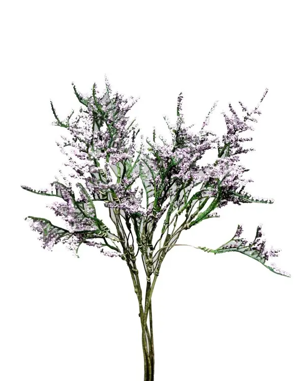 CASPIA LAVENDLE 38 CN 12/144