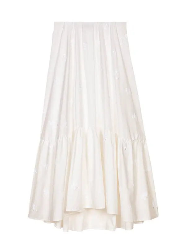 Long embroidered skirt
