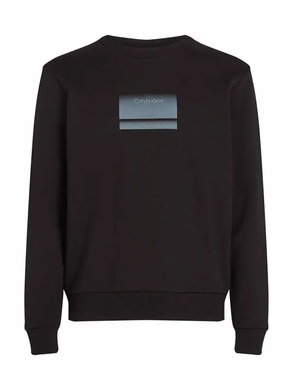 Regular Fit Cotton Gradient Logo Sweatshirt