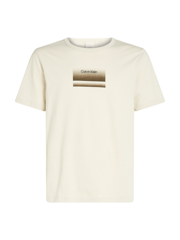 Regular Fit T-Shirt With Gradient Logo