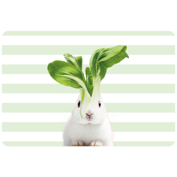 Double-sided PVC placemat. Rabbit decoration.