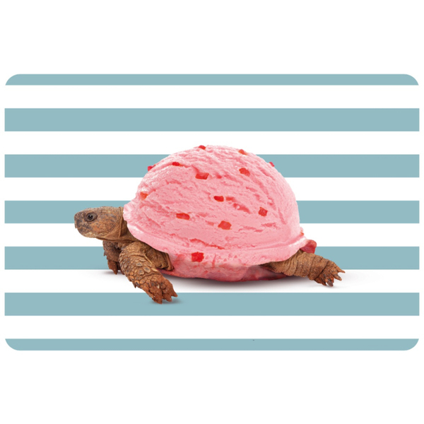 Double-sided PVC placemat. Turtle decoration.