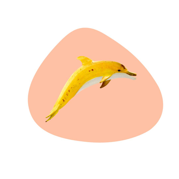 PVC placemat. Dolphin decoration.