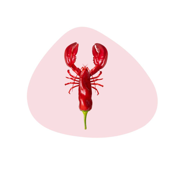 PVC placemat. Lobster decoration.