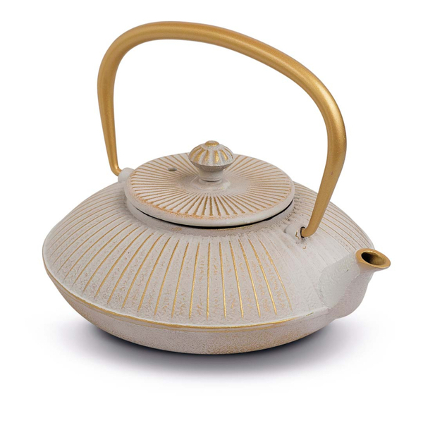 Cast iron teapot. Capacity 500 ml. White color.