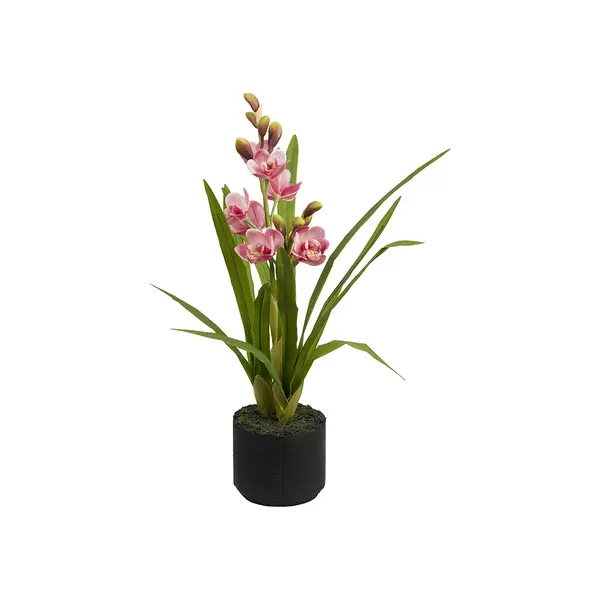 VERONICA PINK CYMBIDIUM CLOD M Ø13