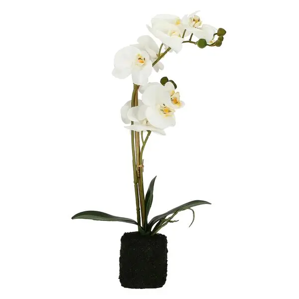 VERONICA CLUMP WITH WHITE ORCHIDS M(#)