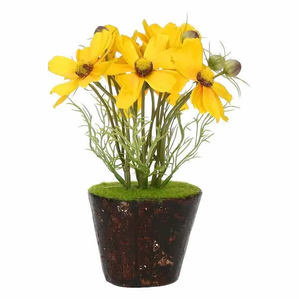 ILMAZZOLINO COSMOS YELLOW W CLOD
