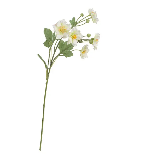 FIORILE WHITE BUTTERFLY ANEMONE