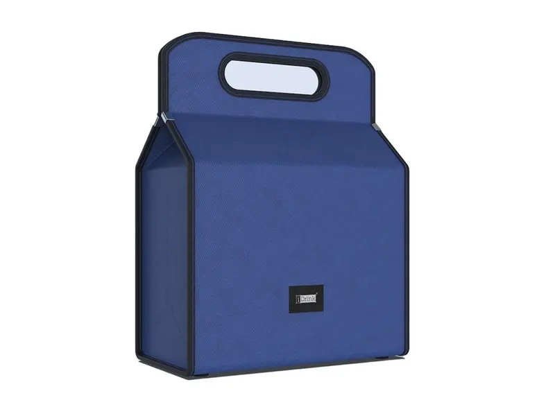 Blue Cooler Bag