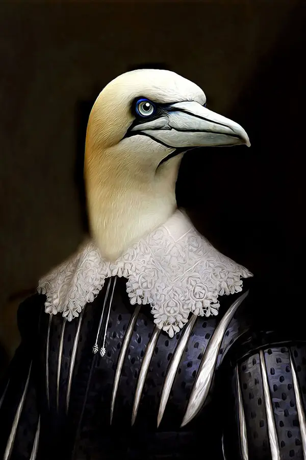 Tein Lucasson - Abel