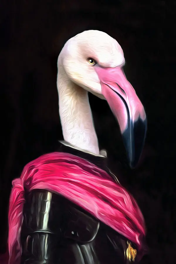 Tein Lucasson - ELTON