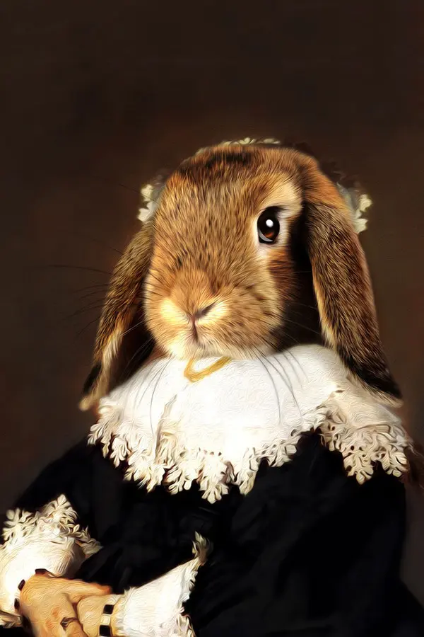 Tein Lucasson -  FRAN