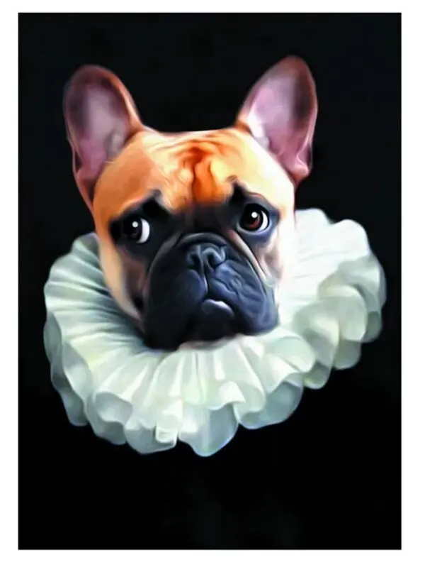 Tein Lucasson - Pipo