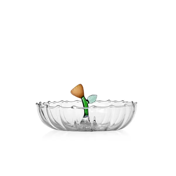 Botanica Saucer Image