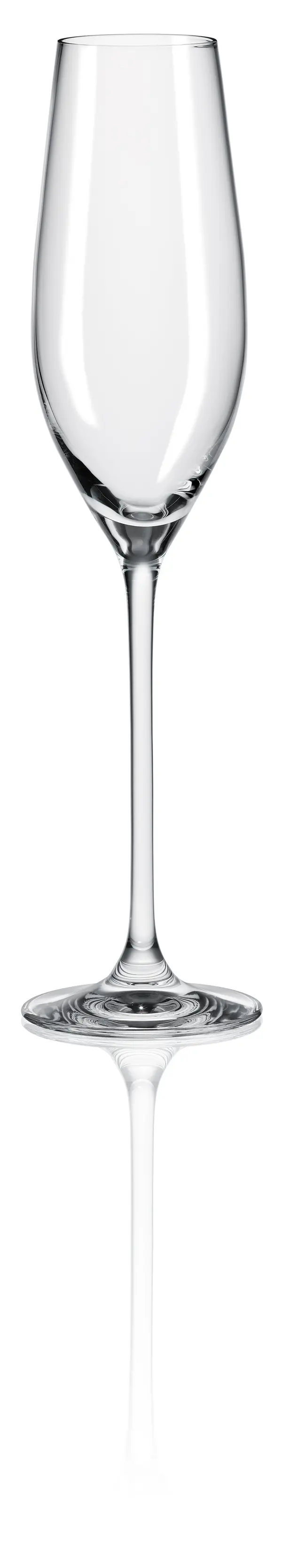 Set of 6 - CHAMPAGNE FLUT GLASS