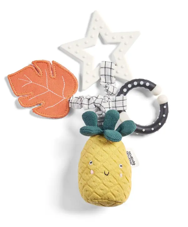 Wildly Adventures Educational Teething Toy - Linkie Pineapple 