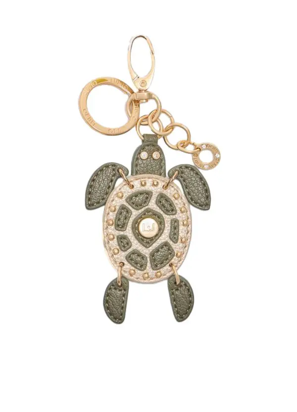 Turtle keyring                     