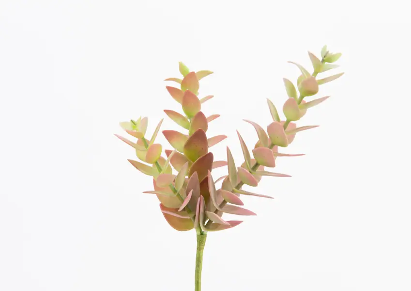 Artificial flower