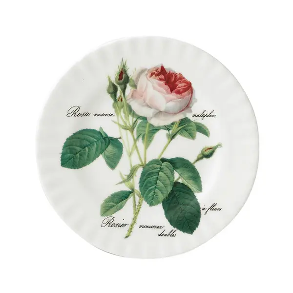 Plate