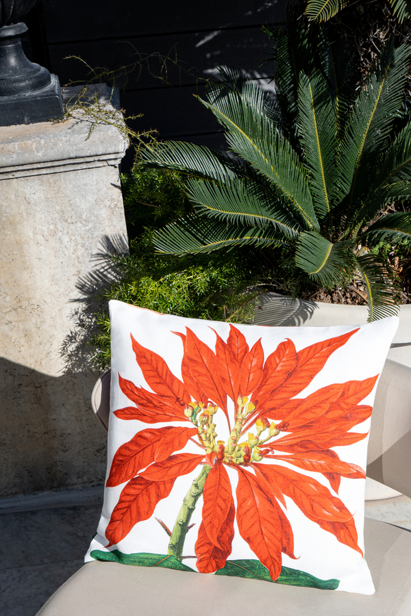 Cushion Poinsetta 50 x 50 Cm