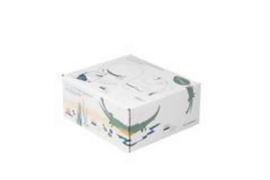 Set of 5 Kids Tableware Croco Croco