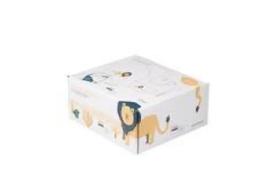 Set of 5 Kids Tableware Leo Lion