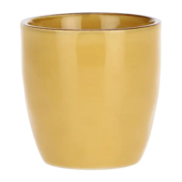 Concerto Ocramocha Cup