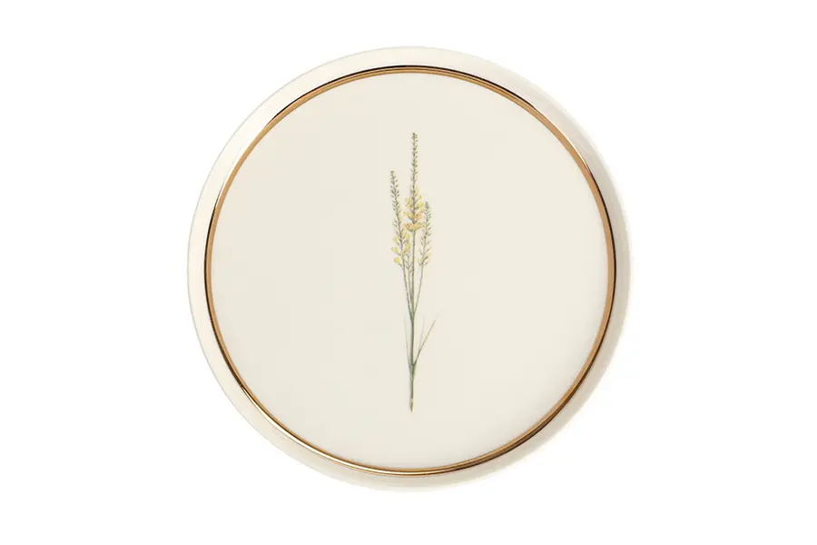  Botanical Design 2 Flat Plate 21cm