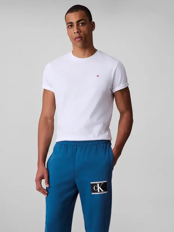 Graphic Terry Joggers