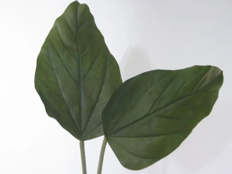 Anthurium Leaf in Green, Set of 6, 72cm 