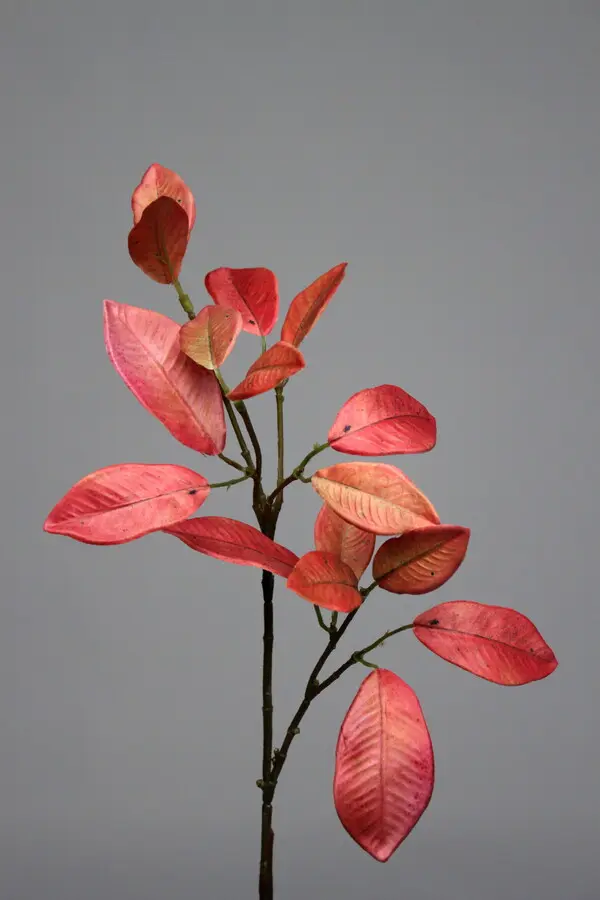 Laurus Leaf in Brown/Red, 52cm