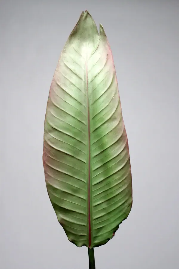 Strelitzia Leaf in Green, 114.30cm