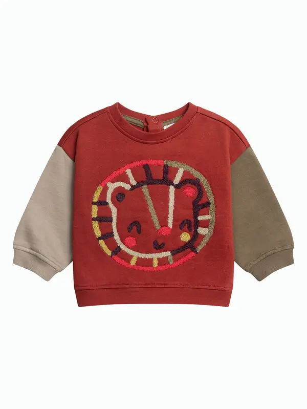 Colorblock Sweatshirt with Embroidered Lion Graphic