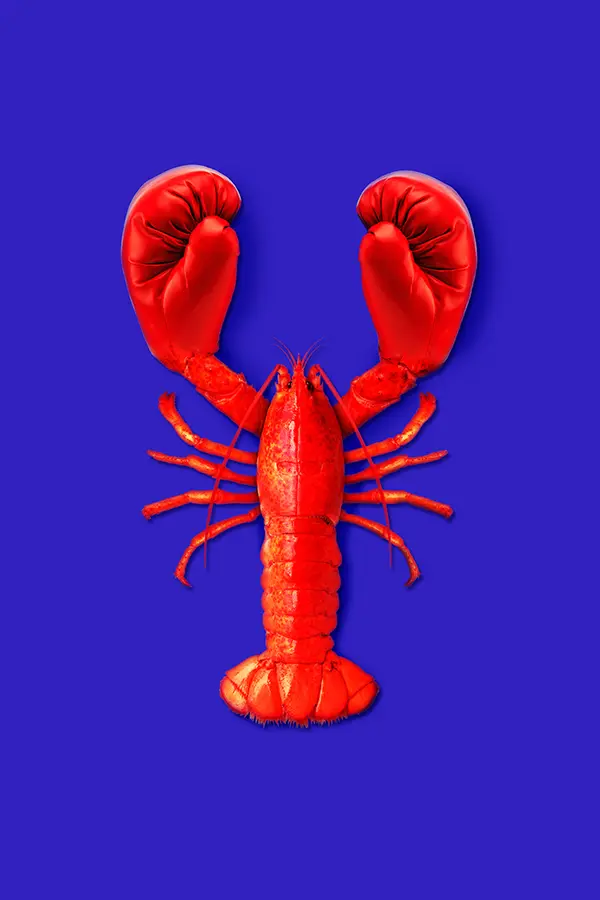 ARTEM POZDNIAKOV - Lobster Fight Poster Image