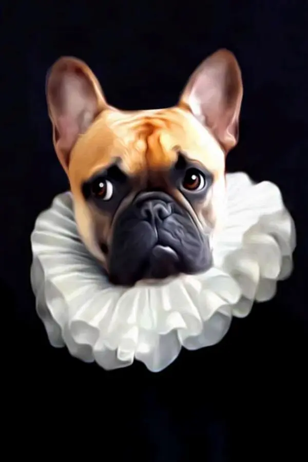 TEIN LUCASSON - Pipo Poster Image