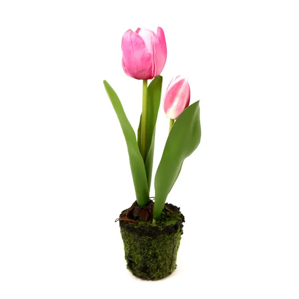 Anna Tulip Fuchsia US D 8 - Plastic, Steel, Sand, Mud, Foam