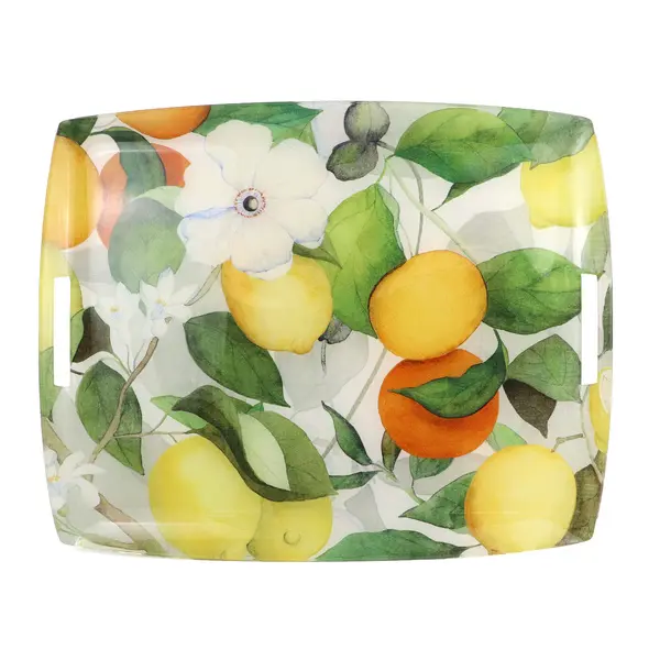  Acrylic and Linen Tray 54x43 cm