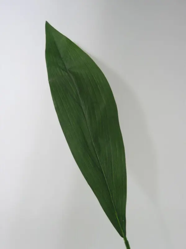 Aspidistra Leaf in Green, 93cm