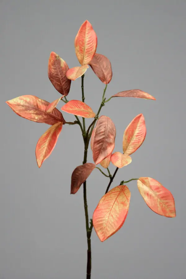 Laurus Leaf in Brown/Yellow, 52cm