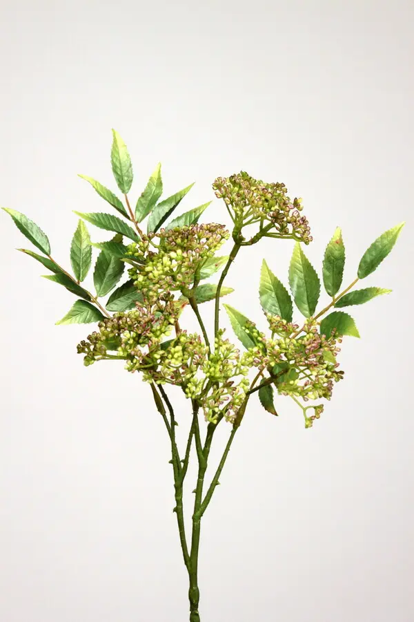 Anethum Spray in Lavender/Green, 82cm