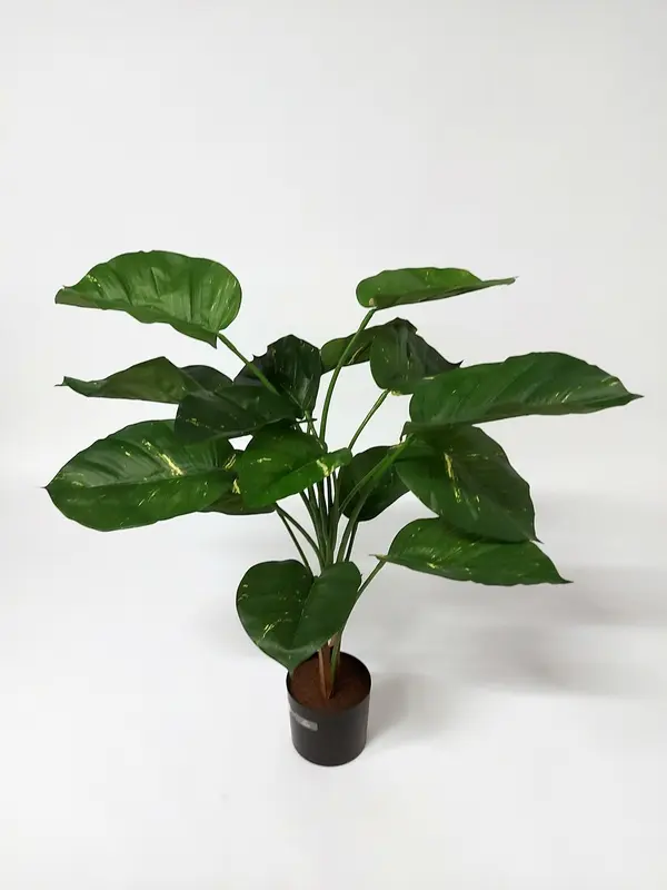 Giant Photos Plant with 16 Leaves, 85cm