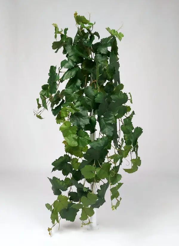 Ivy Grape Hanging Bush in Green