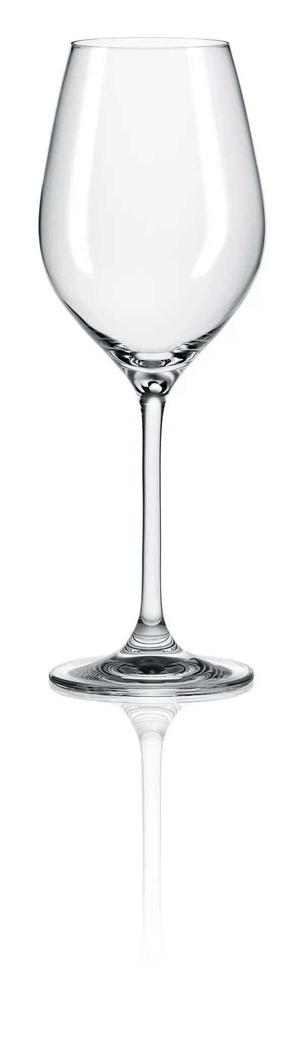 Set of 6 - WINE GLASS