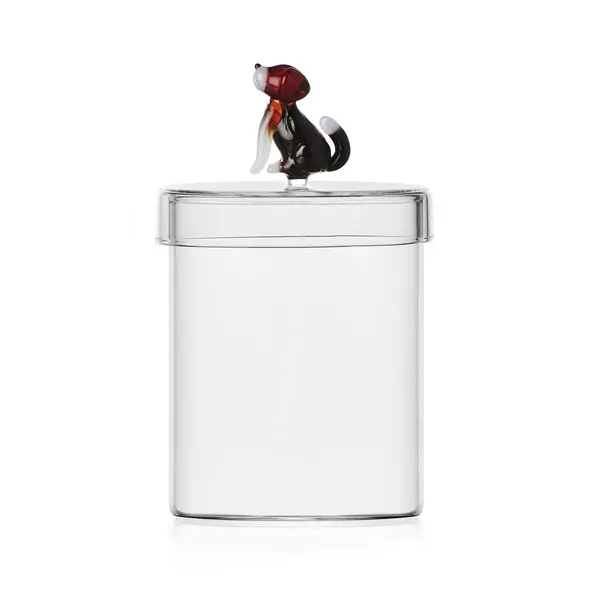 DOGS box  English Foxhound Image