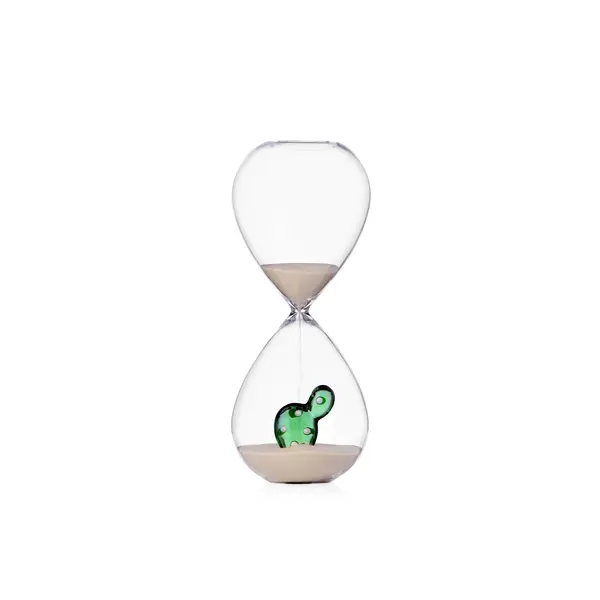 DESERT PLANTS hourglass cactus green
