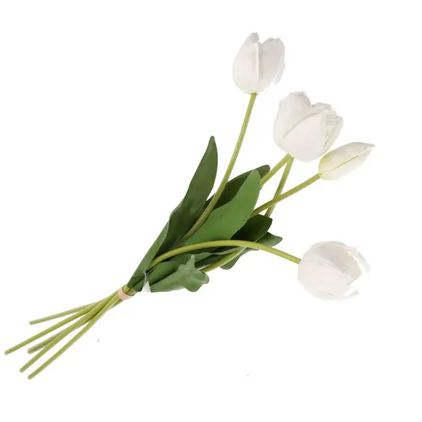 ANNA BUNCH TULIP WHITE STEM
